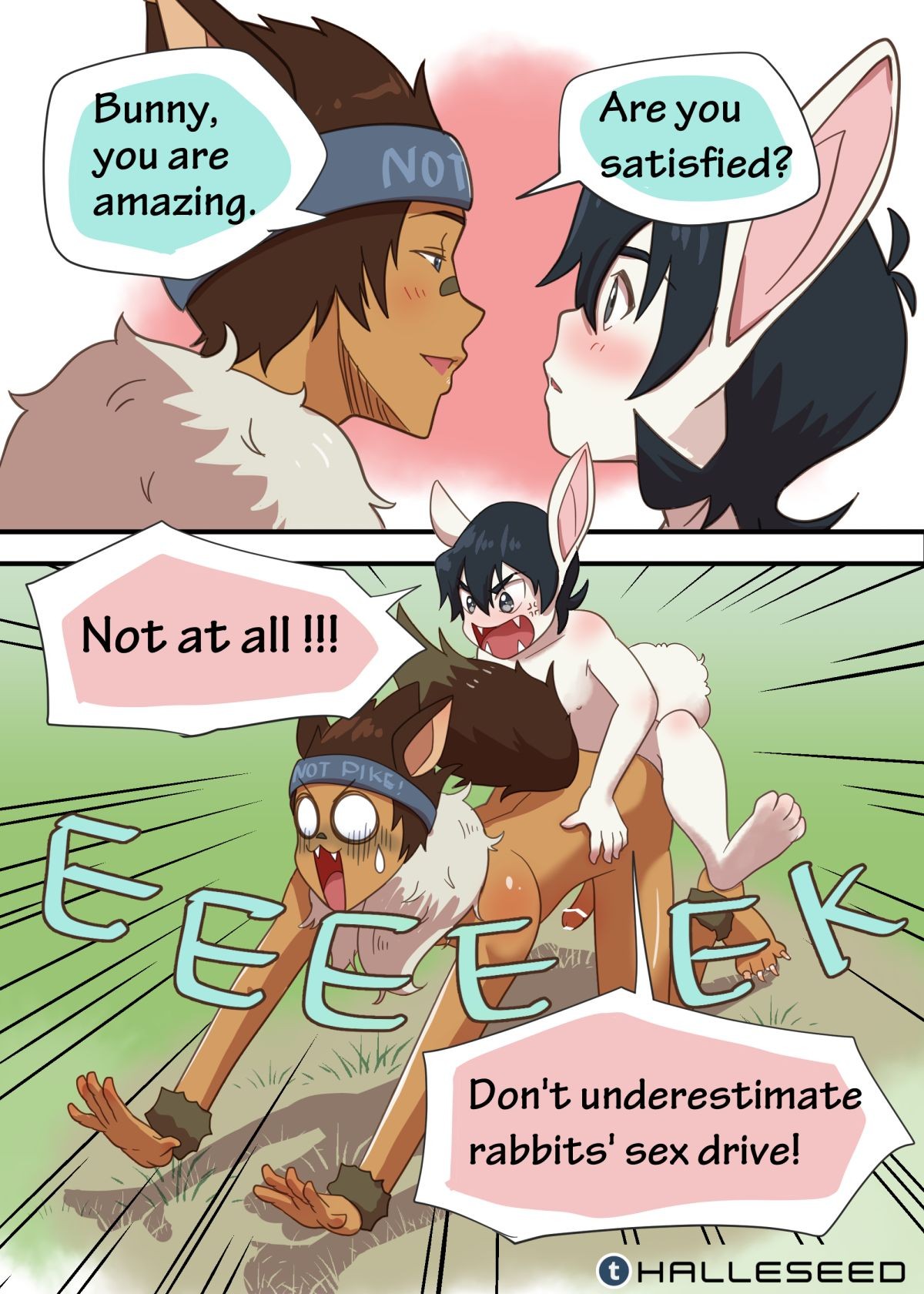 halleseed] Keef the Bunny – Voltron Legendary Defenders dj [Eng] - Gay  Manga | HD Porn Comics