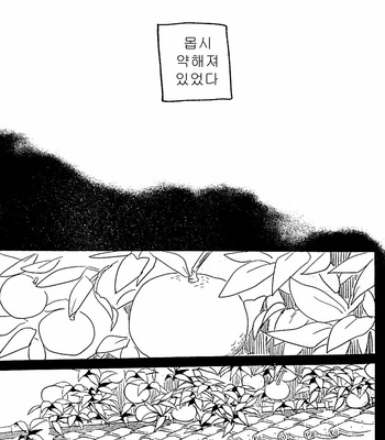 [nitoroamekon] Natsumikan – Gintama dj [Kr] – Gay Manga sex 3