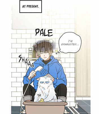 [So-nyeon] My One and Only Cat (update c.10-15) [Eng] – Gay Manga sex 16