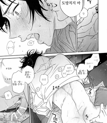 [mesuchanghonpo (onna)] Ichalove Car Sex Book [KR] – Gay Manga sex 18