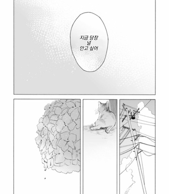 [Yura] Lion and Venus [Kr] (update c.6) – Gay Manga sex 181