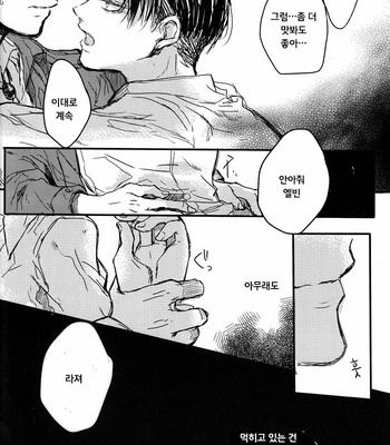 [Melomelow (Hyura)] prey in sight – Attack on Titan dj [Kr] – Gay Manga sex 27