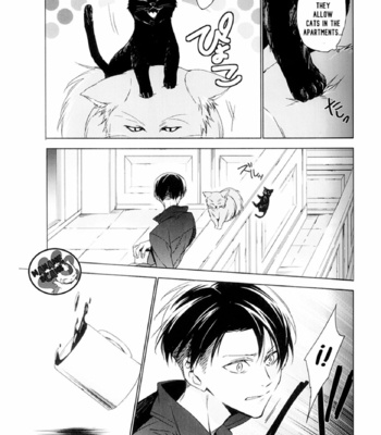 [hummel/ Xia] Let Me In 2 – Shingeki no Kyojin dj [Eng] – Gay Manga sex 13
