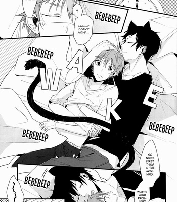 [posy] Cat Life – Haikyuu!! dj [Eng] – Gay Manga sex 2