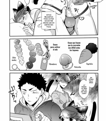 [Rototika (Kamishi Yue)] Iwachan no Neko ni Naritai 7 – Haikyuu !! dj [Español] – Gay Manga sex 11