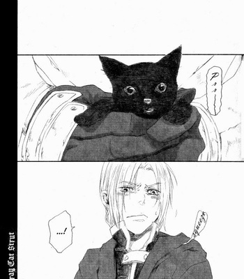 [NINEKOKS/ Kyuugou] FMA dj – Stray Cat Strut [Eng] – Gay Manga sex 2