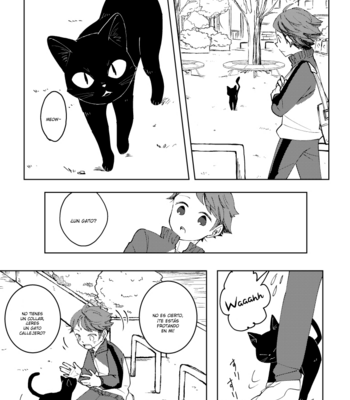 [Masaba] You, I, me and a cat – Haikyuu dj [Esp] – Gay Manga sex 5