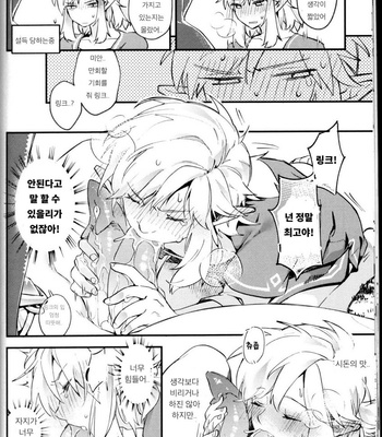 [SERA] Sidon, do you know what is a Shirako – The Legend of Zelda dj [Kr] – Gay Manga sex 20