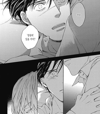 [OHSHIMA Kamome] Chicken Heart Serenade [Kr] – Gay Manga sex 118