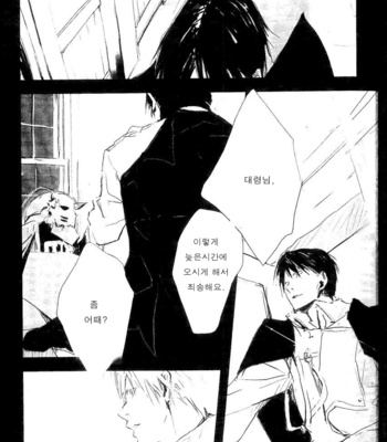 [Idea (SEINA Rin)] Fullmetal Alchemist dj – Nightingale [Kr] – Gay Manga sex 18