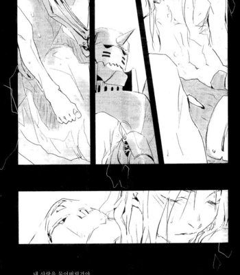 [Idea (SEINA Rin)] Fullmetal Alchemist dj – Nightingale [Kr] – Gay Manga sex 64