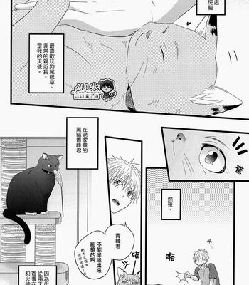 [Sakuragashi/ Kareha Kouduki] CAT COLOR – Kuroko no Basuke dj [cn] – Gay Manga sex 5