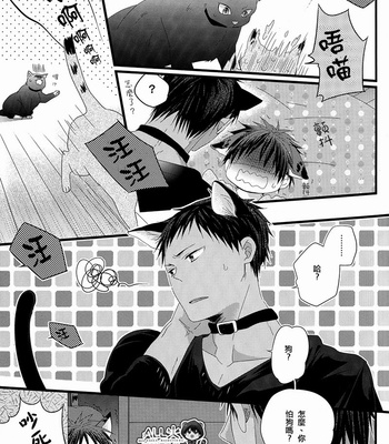 [Sakuragashi/ Kareha Kouduki] CAT COLOR – Kuroko no Basuke dj [cn] – Gay Manga sex 14
