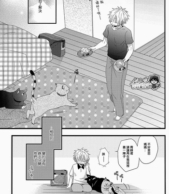 [Sakuragashi/ Kareha Kouduki] CAT COLOR – Kuroko no Basuke dj [cn] – Gay Manga sex 24