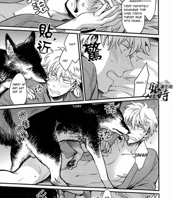 [3745HOUSE] How to spoil your dog – Gintama dj [Eng] – Gay Manga sex 24