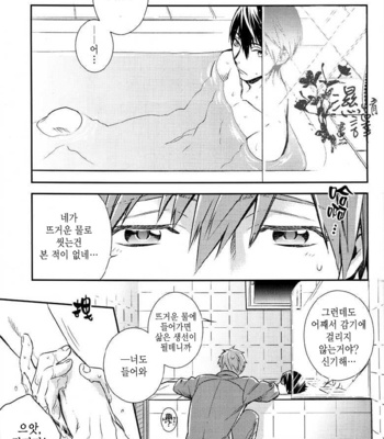 [AOGR (Aogiri)] Ningyou wa Ima da Umi wo Shiranai – Free! dj [kr] – Gay Manga sex 17