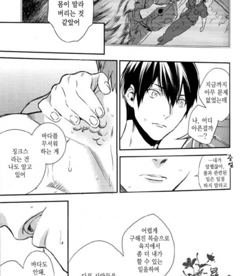 [AOGR (Aogiri)] Ningyou wa Ima da Umi wo Shiranai – Free! dj [kr] – Gay Manga sex 21