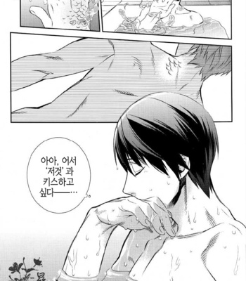 [AOGR (Aogiri)] Ningyou wa Ima da Umi wo Shiranai – Free! dj [kr] – Gay Manga sex 23
