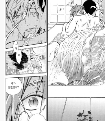 [AOGR (Aogiri)] Ningyou wa Ima da Umi wo Shiranai – Free! dj [kr] – Gay Manga sex 42