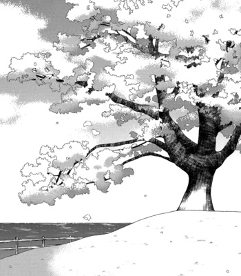 [Kinako Mochi/ Kinako] When the Iwatobi Sakura Bloom – Free! dj [Eng] – Gay Manga sex 8