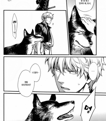[3745HOUSE] How to spoil your dog – Gintama dj [kr] – Gay Manga sex 11
