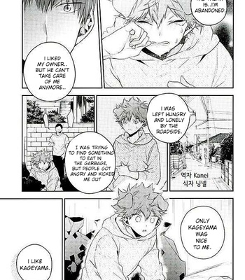 Puppy Love – Haikyuu!! dj [Eng] – Gay Manga sex 20