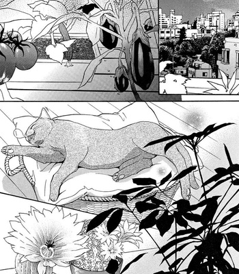 [KANO Shiuko] Punch ↑ ~ vol.01 [Eng] – Gay Manga sex 70