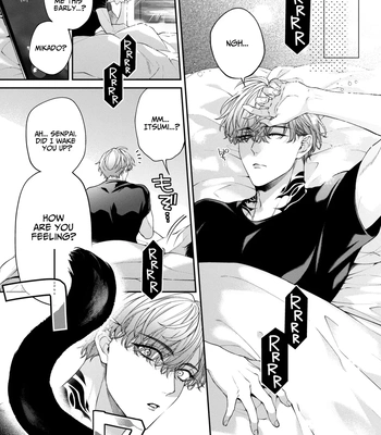[6109 (Kirishiki Tokico)] Shitoame Kitty & Pup ~All Subs Suddenly Grew Animal Ears in a Parallel Universe~ [Eng] – Gay Manga sex 5