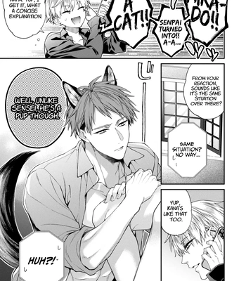 [6109 (Kirishiki Tokico)] Shitoame Kitty & Pup ~All Subs Suddenly Grew Animal Ears in a Parallel Universe~ [Eng] – Gay Manga sex 7