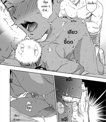 [Haiki] My Nipples are So Sensitive I Can’t Take It! [Thai] – Gay Manga sex 31