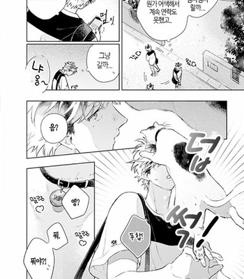 [Cocomi] Shoushin Otoko ni Haru no Arashi [kr] – Gay Manga sex 147