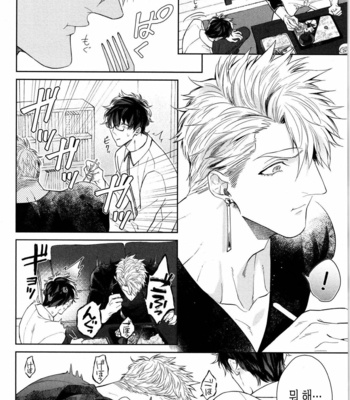 [AKIHISA Teo] Kishi-sama (Ikuseichuu) to Doukyo Shimasu [Kr] – Gay Manga sex 33