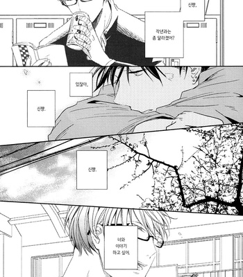 [Gusari] Kuroko no Basuke dj – Sakura no Kisetsu [kr] – Gay Manga sex 11
