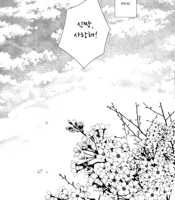 [Gusari] Kuroko no Basuke dj – Sakura no Kisetsu [kr] – Gay Manga sex 18