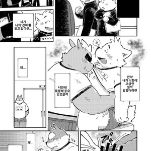 [Goroujirou (Kinoshita Jiroh)] Mekko Rarekko [kr] – Gay Manga sex 116