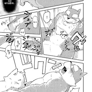 [Goroujirou (Kinoshita Jiroh)] Mekko Rarekko [kr] – Gay Manga sex 163