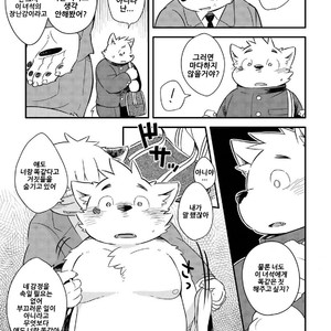 [Goroujirou (Kinoshita Jiroh)] Mekko Rarekko [kr] – Gay Manga sex 243