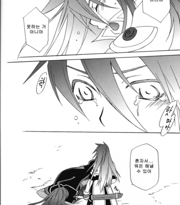 [Pink Power (Saho Mikuni)] A clumsy sword and a imperfect flower – Tales of the abyss dj [kr] – Gay Manga sex 20