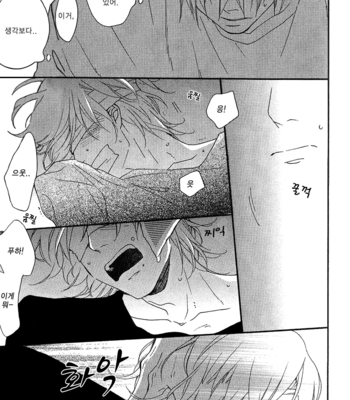[Ichikawa Kei] Test Play [kr] – Gay Manga sex 9