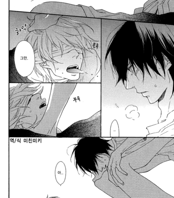 [Ichikawa Kei] Test Play [kr] – Gay Manga sex 12