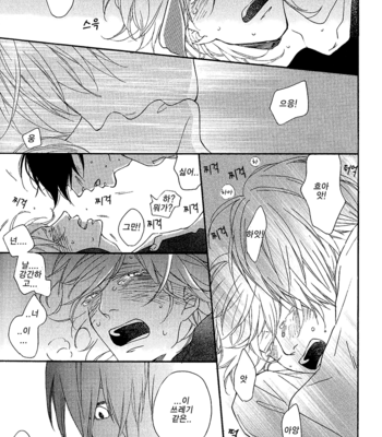 [Ichikawa Kei] Test Play [kr] – Gay Manga sex 15