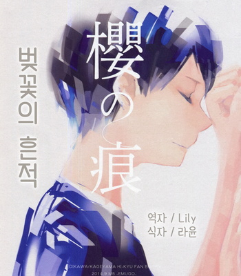 Gay Manga - [M5/ Mekako] Sakura no Ato 1-2 – Haikyu!! dj [kr] – Gay Manga