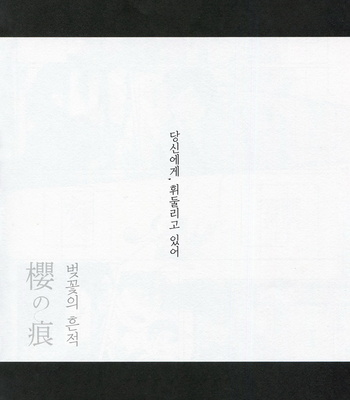 [M5/ Mekako] Sakura no Ato 1-2 – Haikyu!! dj [kr] – Gay Manga sex 7