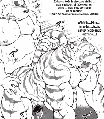[Jamboree! (jin)] Ootora 2 | Gran tigre 2 [JP/Esp] – Gay Manga sex 39
