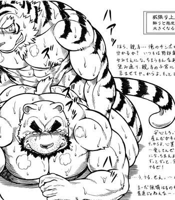 [Jamboree! (jin)] Ootora 2 | Gran tigre 2 [JP/Esp] – Gay Manga sex 14