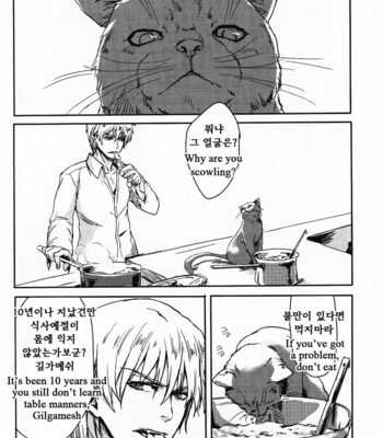 [Ippentou (gomiwa gomibacohe)] Raising A Cat – Fate/zero dj [Eng/kr] – Gay Manga sex 14