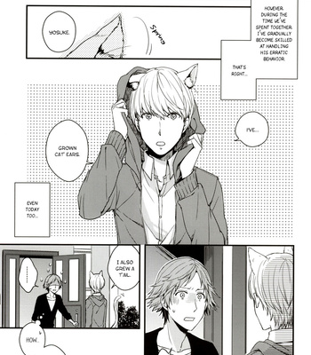 [Swallow Sky (Rihara)] CRAZY CAT LOVER – Persona 4 dj [Eng] – Gay Manga sex 2
