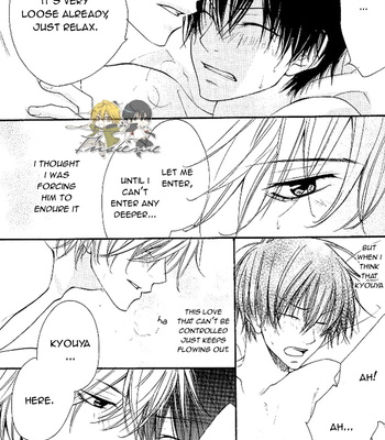 [LION★PUNCH] Amenita – Katekyo Hitman Reborn! dj [Eng] – Gay Manga sex 11