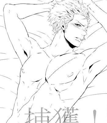 [Lost Parade (Chouko)] Hokaku! – One Piece dj [PT-BR] – Gay Manga sex 4