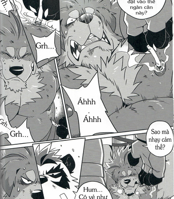 [WILD STYLE (Takemoto Arashi)] FILE: EX- Border Dog [Vietnamese] – Gay Manga sex 15